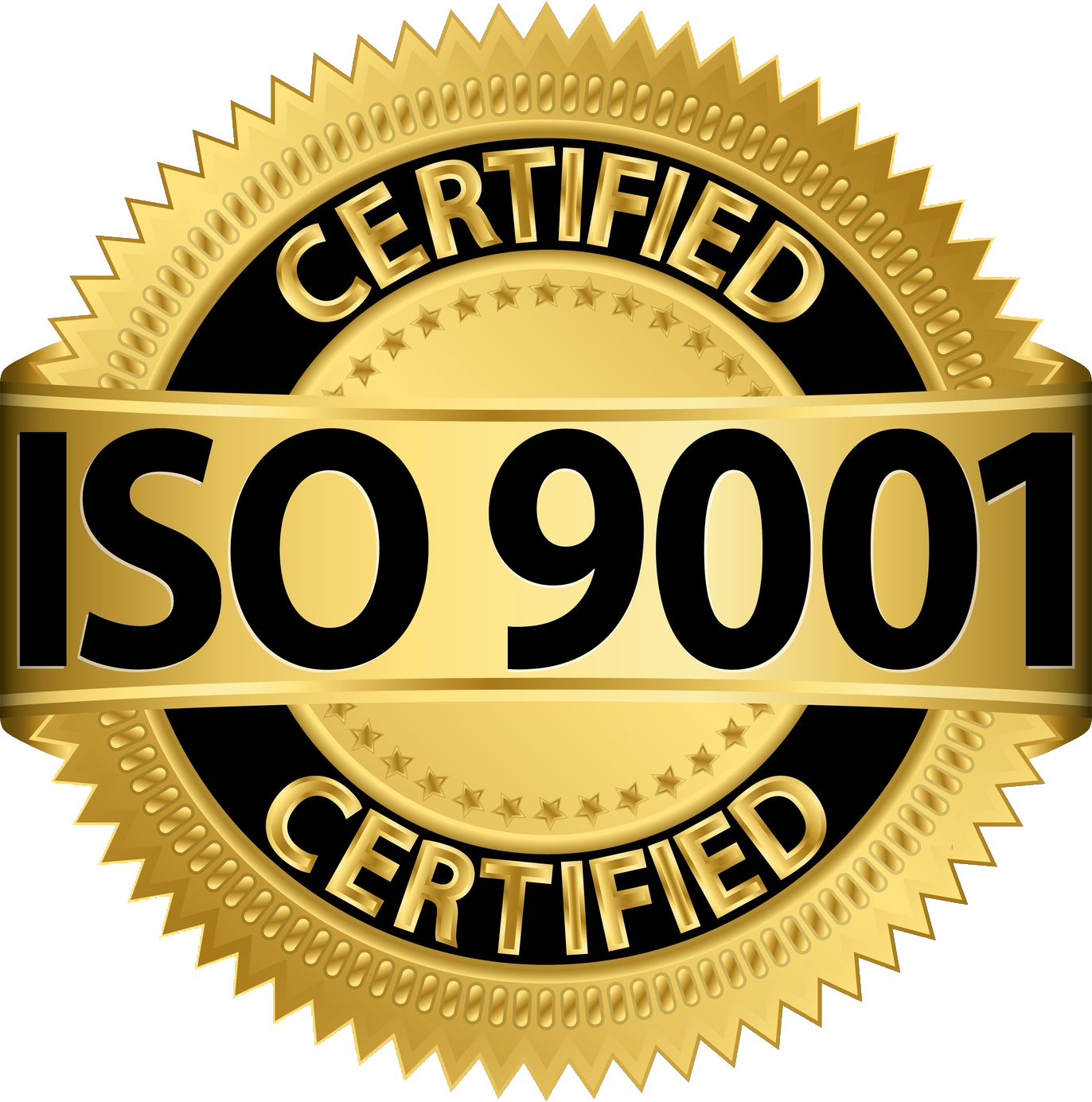 ISO Logo